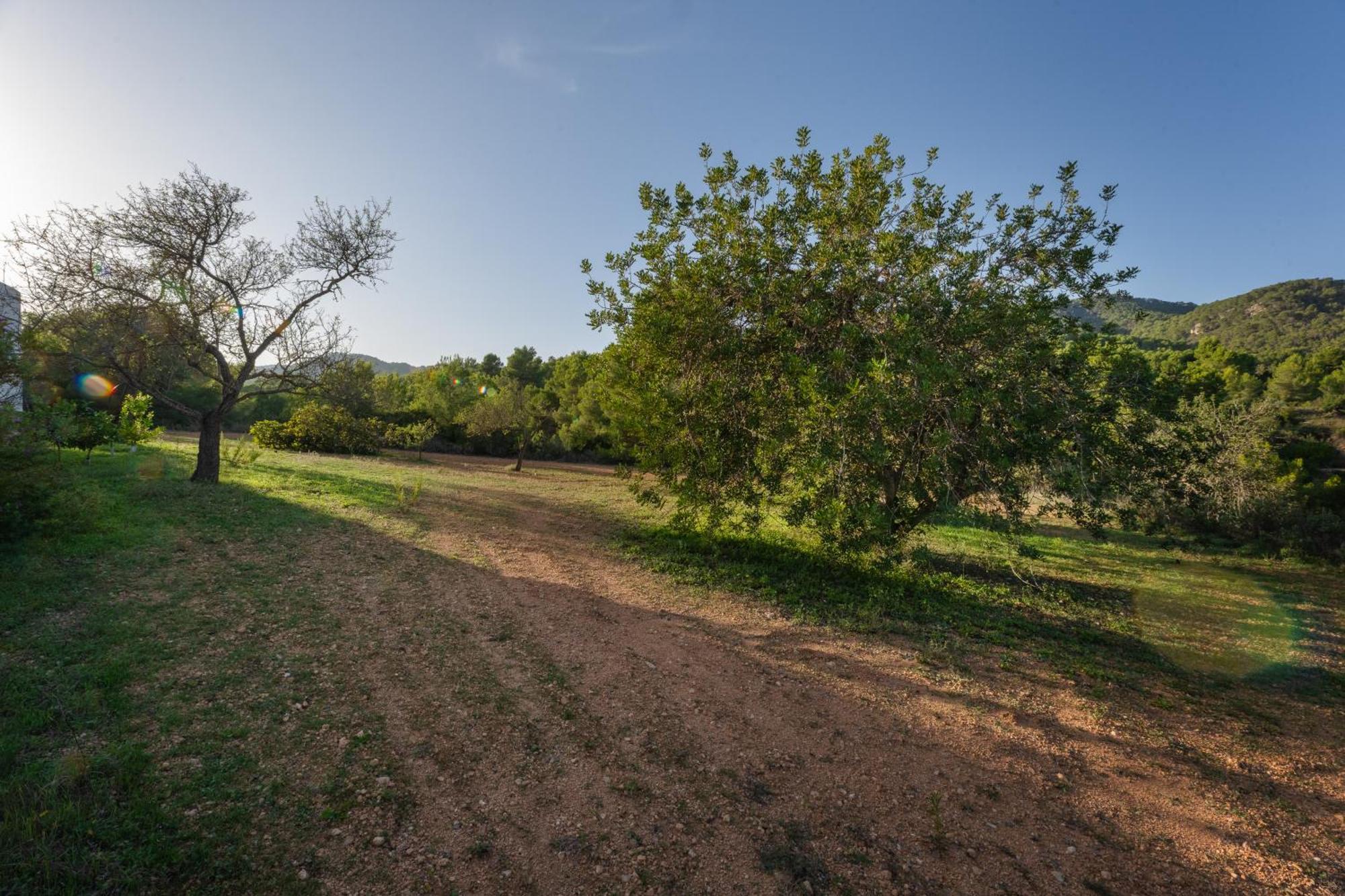 Villa Great Paradise San José Екстериор снимка